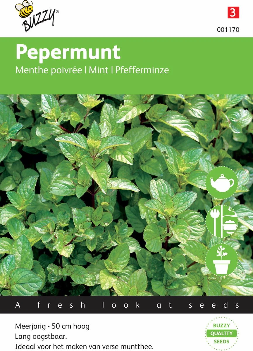 Buzzy Zaden Pepermunt - Afbeelding 3