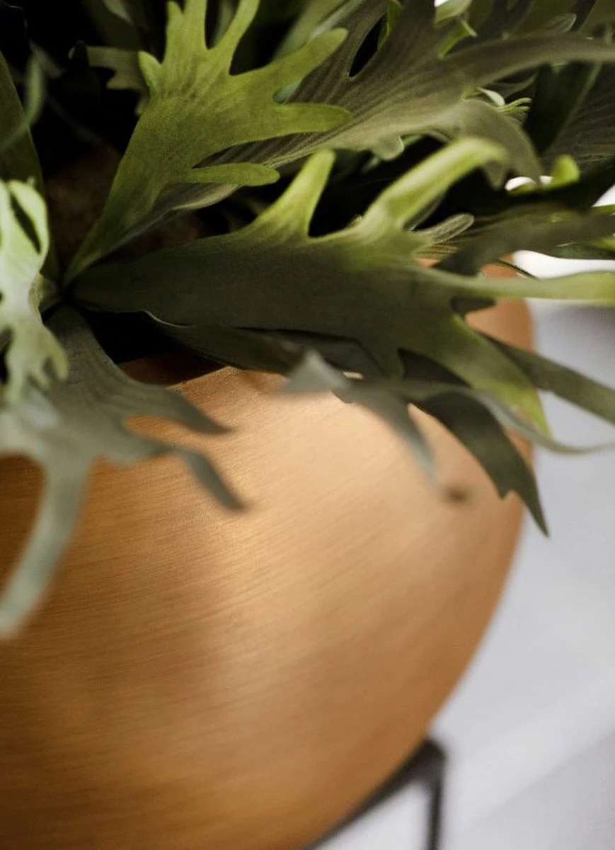 Capi Europe - Vaas Bol Retro - 30x25 - Goud - Bloempot Voor Binnen - BRTG104 - Afbeelding 8