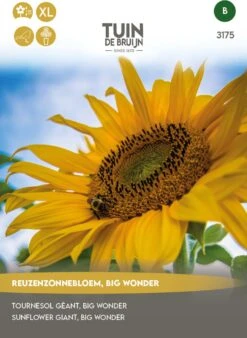 Tuin De Bruijn® Zaden - Reuzenzonnebloem - Zonnebloem Big Wonder