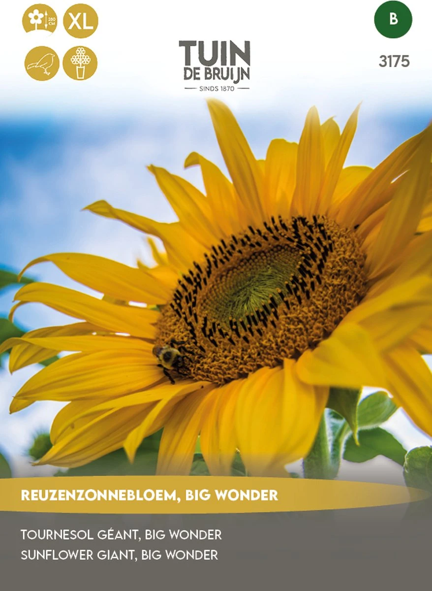 Tuin De Bruijn® Zaden - Reuzenzonnebloem - Zonnebloem Big Wonder