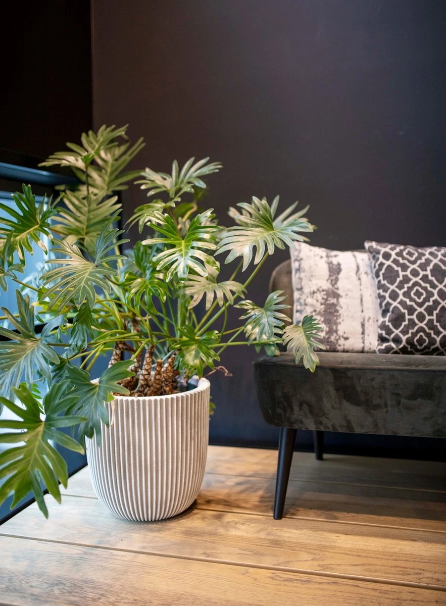 Capi Europe - Bloempot Bol Groove NL - 43x41 - Zwart - Voor Binnen En Buiten - KGVBL933 - Afbeelding 4