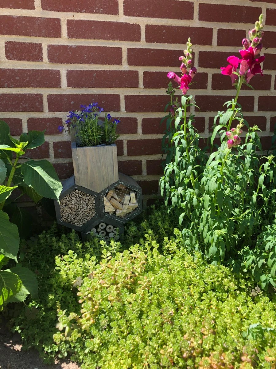 GARDEN SPIRIT Bijenhotel Met Bloempot 33 X 23 X 11 - Insectenhotel - Afbeelding 8