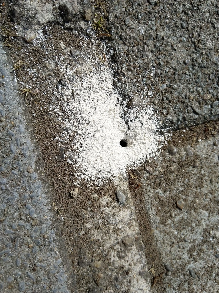 500g =1 Ltr Diatomeeënaarde (Kiezelgoer) (eco & Gifvrij) PestiNext Diatomeeënaarde - Diatomaceous Earth - Diatomeeenaarde Kippen - Diatomeeenaarde Poeder - Diatomeeenaarde Foodgrade - Afbeelding 3