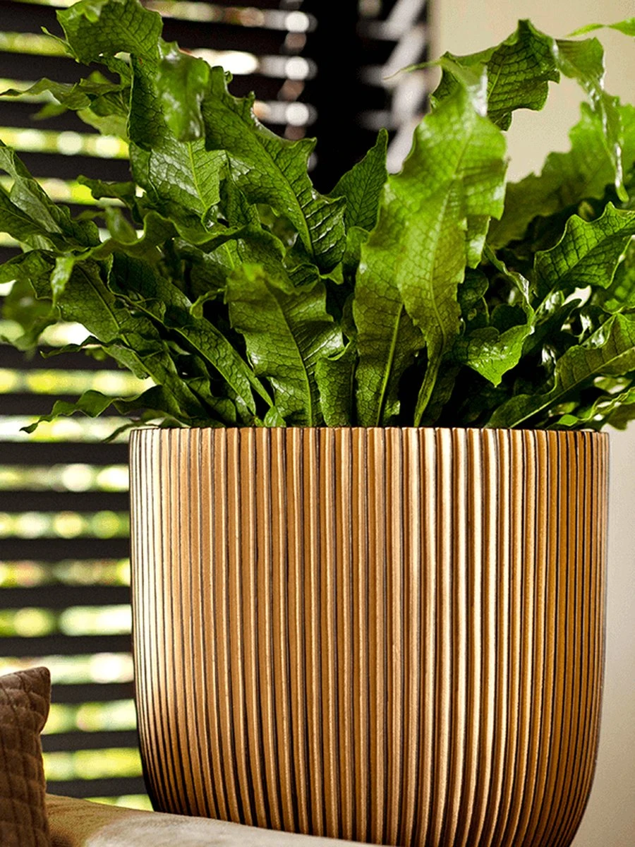 Capi Europe - Bloempot Bol Groove - 23x21 - Goud - Bloempot Voor Binnen - BGVGB134 - Afbeelding 5