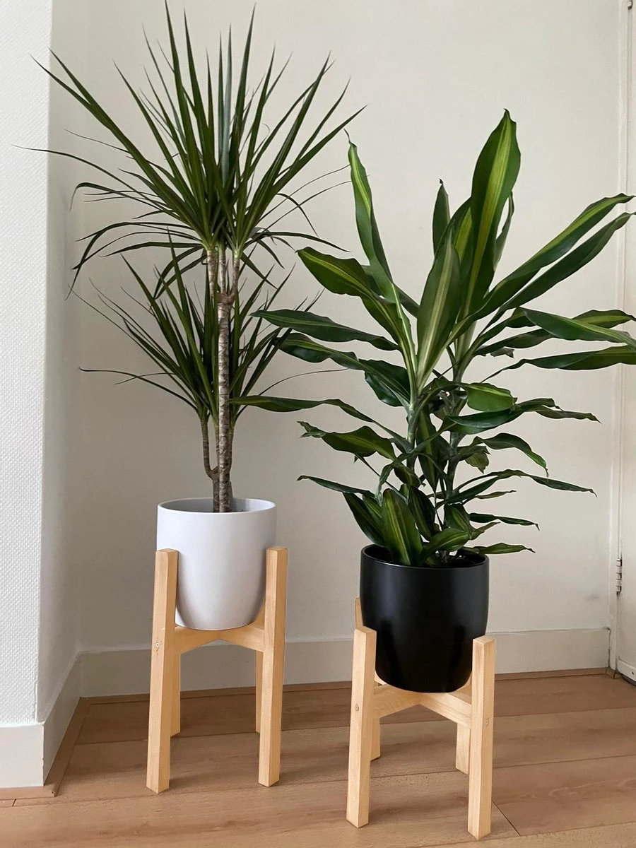 Plantenstandaard | Set Van 2 | Diameter Tot 24 Cm | Plantenkruk | Bloempotten Voor Binnen | Plantentafeltje Voor Binnen | Bloempot Standaard | Plantenstandaard Binnen | Hout | Licht Bruin - Afbeelding 2