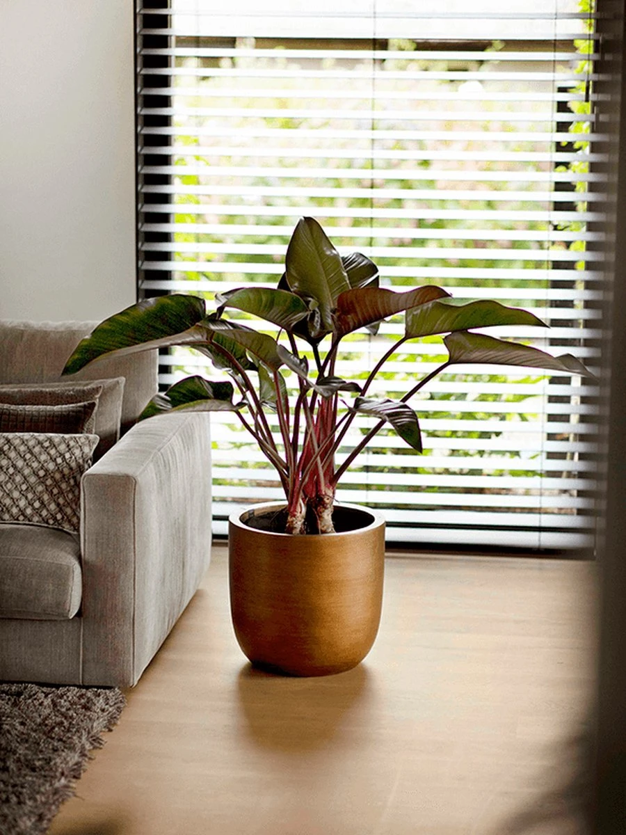 Capi Europe - Bloempot Bol Retro XL - 42x41 - Goud - Bloempot Voor Binnen - Opening ⌀36 - RTG933 - Afbeelding 5