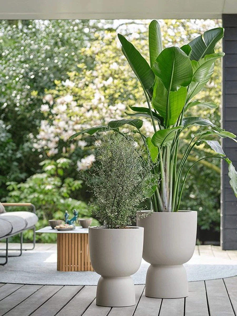 Elho Pure Coupe 41 - Bloempot Voor Binnen & Buiten - Ø 41.3 X H 57.9 Cm - Beige/Balanced Beige - Afbeelding 11