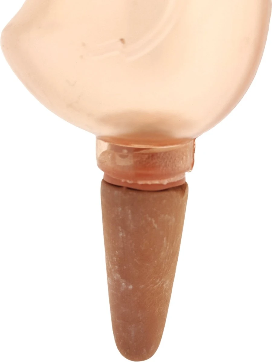 JS Drippy - Waterdruppelaars Set Van 2 Stuks - Druppelaar Vogel - Druppelsysteem Planten - Watergeefsysteem Kamerplanten - Waterbol - Roze - Afbeelding 4