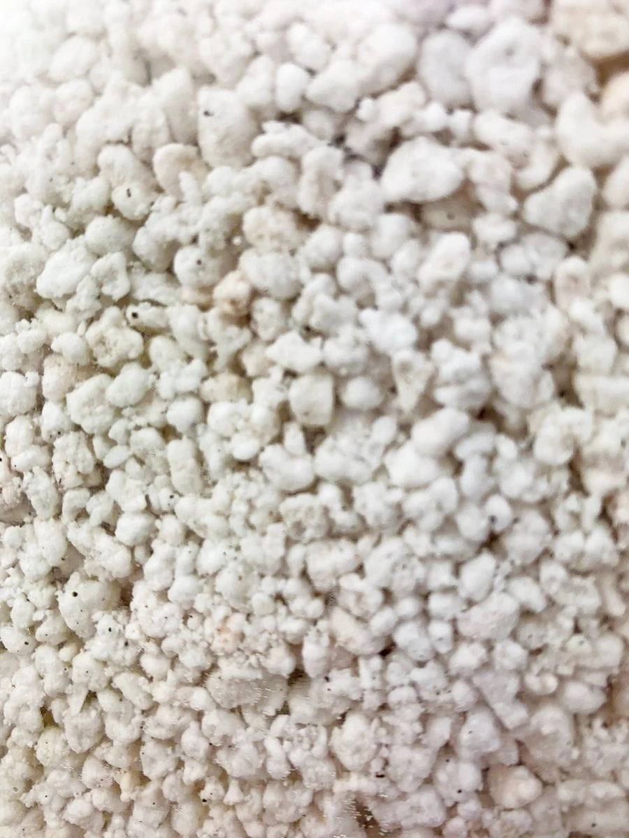 Perliet | 12 Liter | 100% Natuurlijk | Verpotten Of Verplanten | Ideaal Voor Het Mixen Van Grond - Afbeelding 2