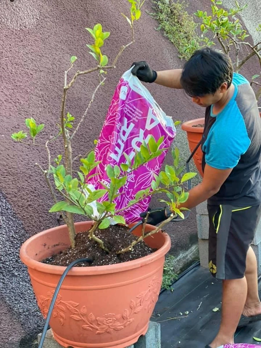 Cellmax Potgrond -50L- Universeel Met Perliet-Bemest-3 Tot 6 Weken Voeding - Afbeelding 2