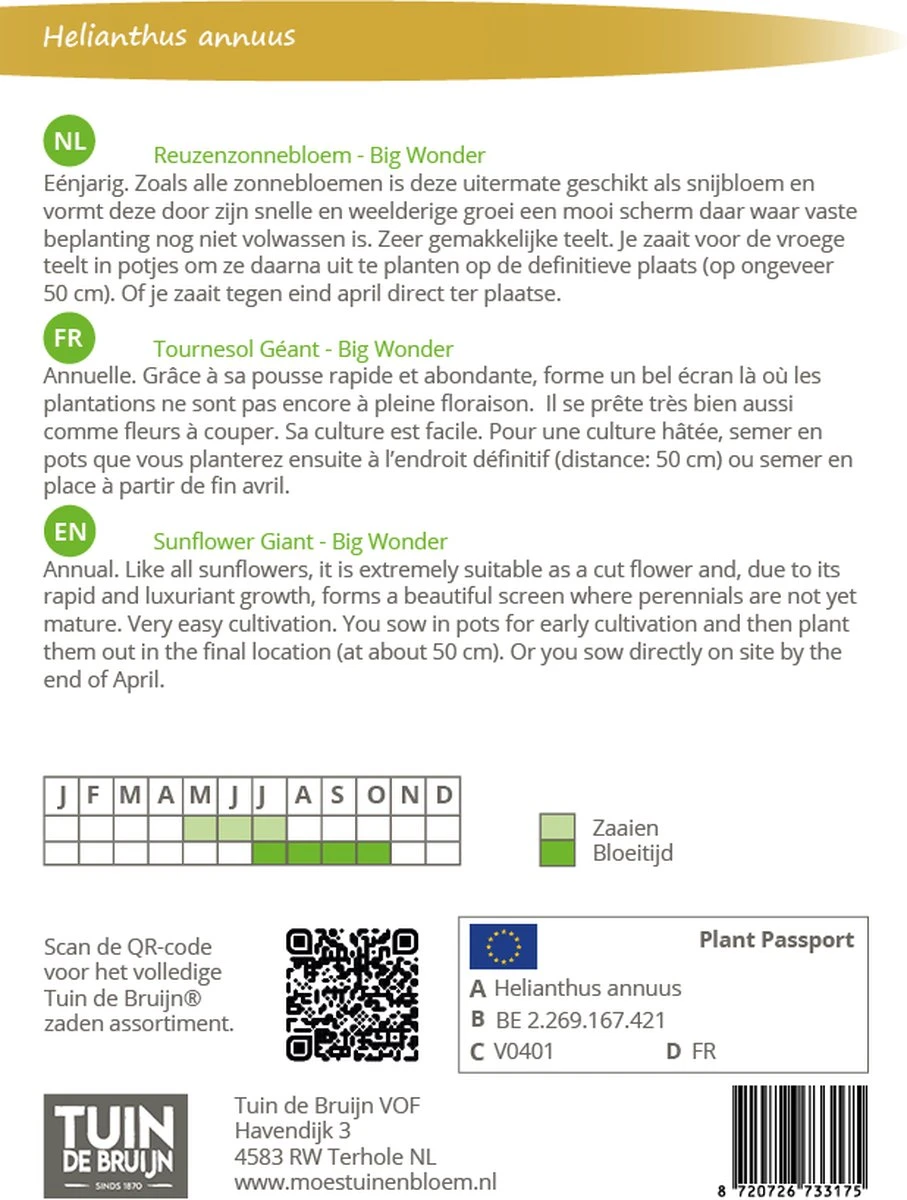 Tuin De Bruijn® Zaden - Reuzenzonnebloem - Zonnebloem Big Wonder - Afbeelding 2