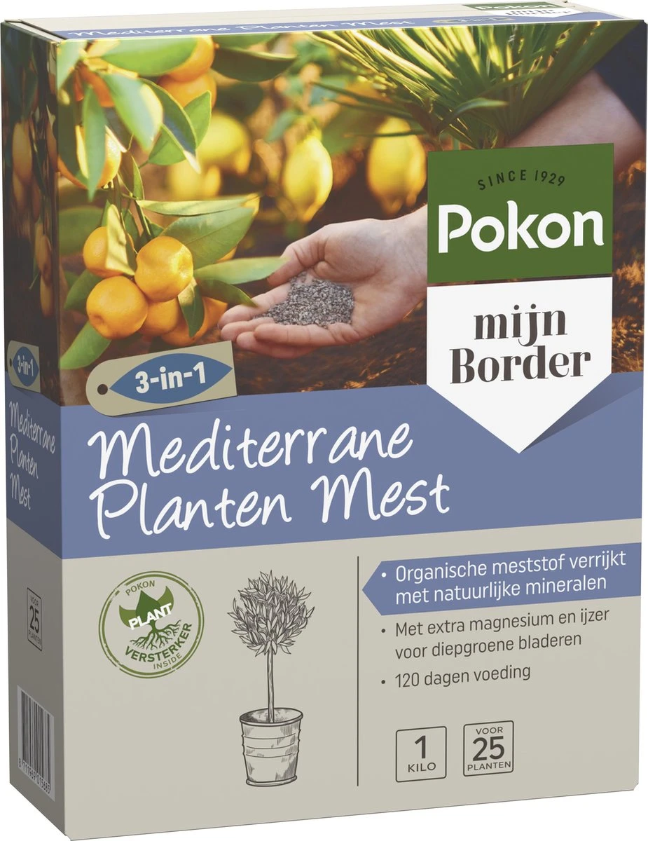 Pokon Mediterrane Planten Mest - 1kg - Meststof - 3-in-1 Werking - Afbeelding 5