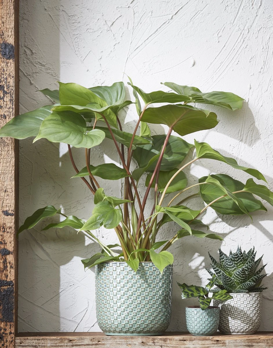 Mica Decorations Daan Bloempot - H17,5 X Ø19 Cm - Groen - Afbeelding 5