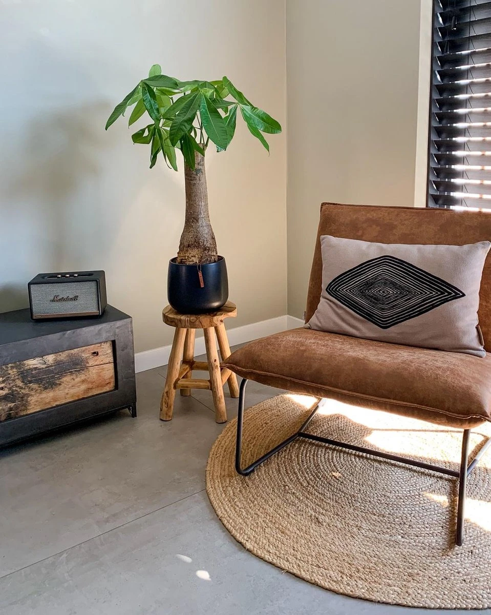 Wout L - Afbeelding 3