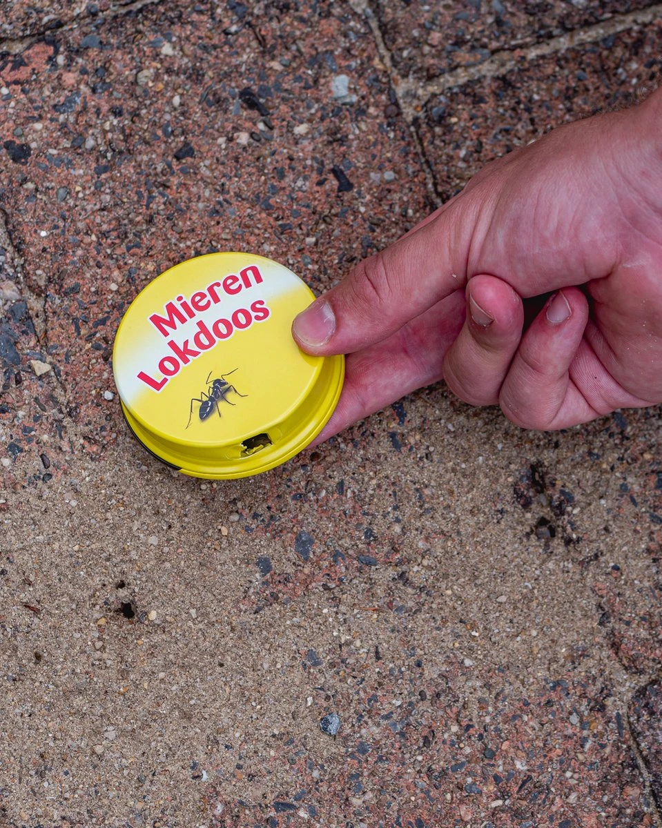ECOstyle MierenLokdoos - Mierenpoeder Voor Binnen En Buiten - Werkt Enkele Weken - Bestrijd Mieren Op E Wijze - 2 Stuks - Afbeelding 5