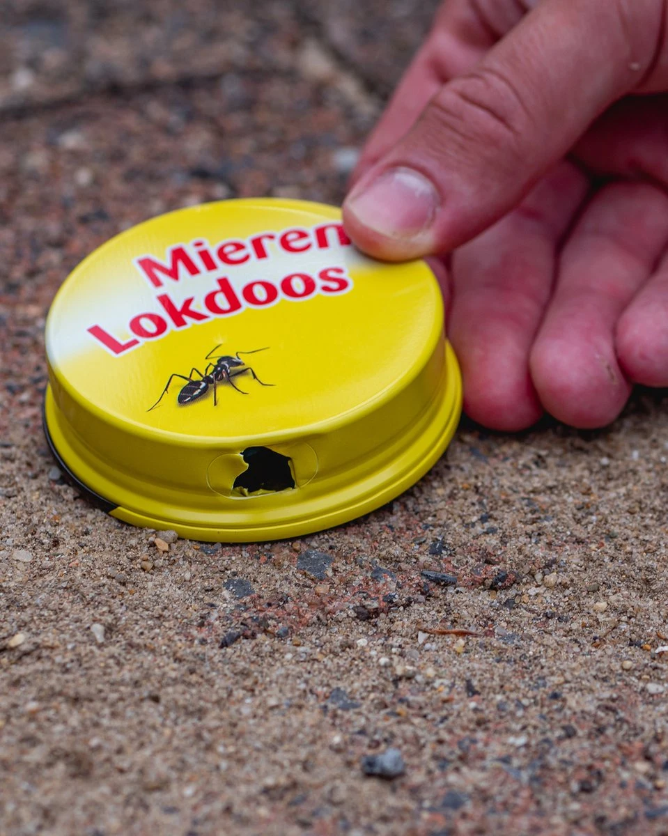 ECOstyle MierenLokdoos - Mierenpoeder Voor Binnen En Buiten - Werkt Enkele Weken - Bestrijd Mieren Op E Wijze - 2 Stuks - Afbeelding 6