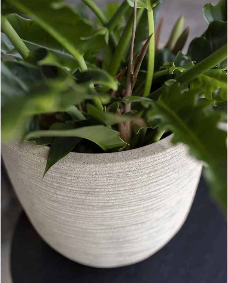 Capi Europe - Bloempot Bol Waste Rib NL - 35x34 - Terrazzo Beige - Voor Binnen En Buiten - KTBR932 - Afbeelding 6