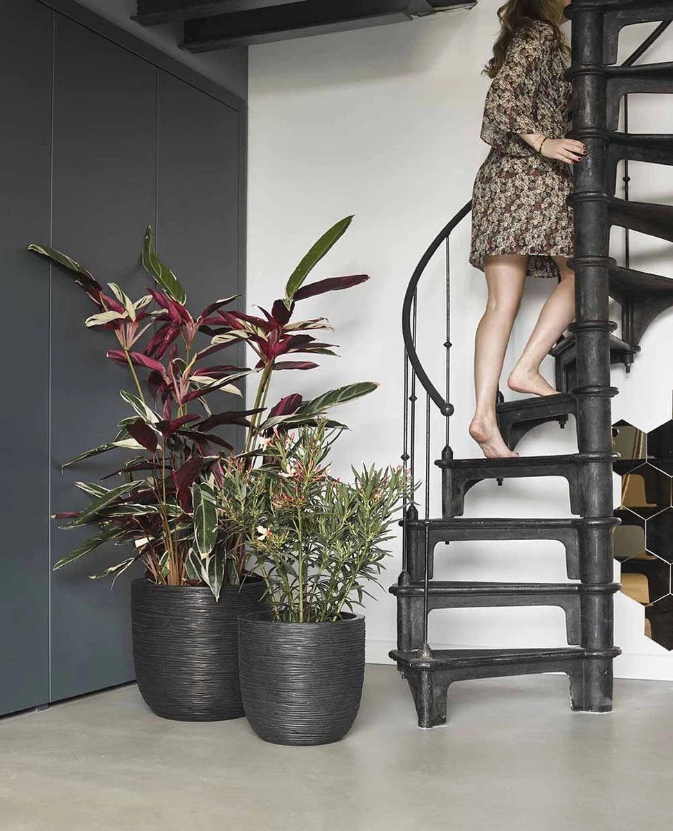 Capi Europe - Bloempot Bol Rib NL - 35x34 - Zwart - Voor Binnen En Buiten - KBLR932 - Afbeelding 6