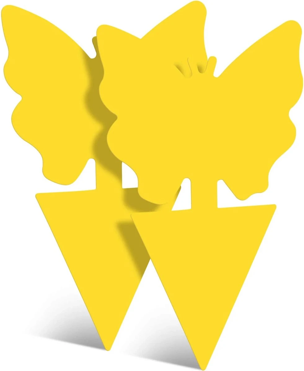 Rouwvliegjes Bestrijden - Fruitvliegjes Vanger - Varenrouwmug Bestrijden - Vangplaten - Afbeelding 8