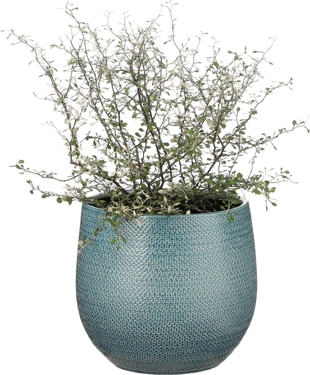 Mica Decorations Gabriel Bloempot - H20 X Ø25 Cm - Keramiek - Blauw - Afbeelding 7